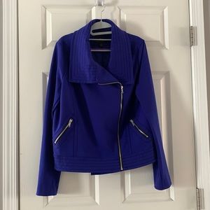 Royal blue moto jacket